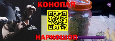 шишки Можга