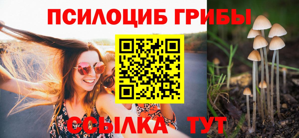 Псилоцибиновые грибы GOLDEN TEACHER Якутск