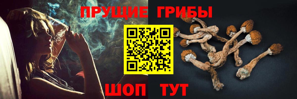 Псилоцибиновые грибы мицелий  Вход с VPN  Якутск 